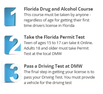 Maori Adviseur Woordvoerder Drug and Alcohol Test Online Course - Florida DMV Approved